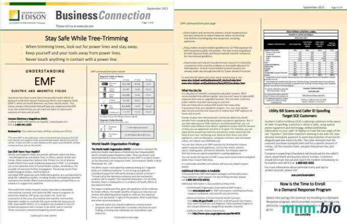 USA Southern California EDISON rachunek za media, Word i PDF template, 8 strony 7 8